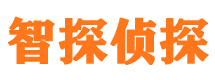 尖山侦探公司